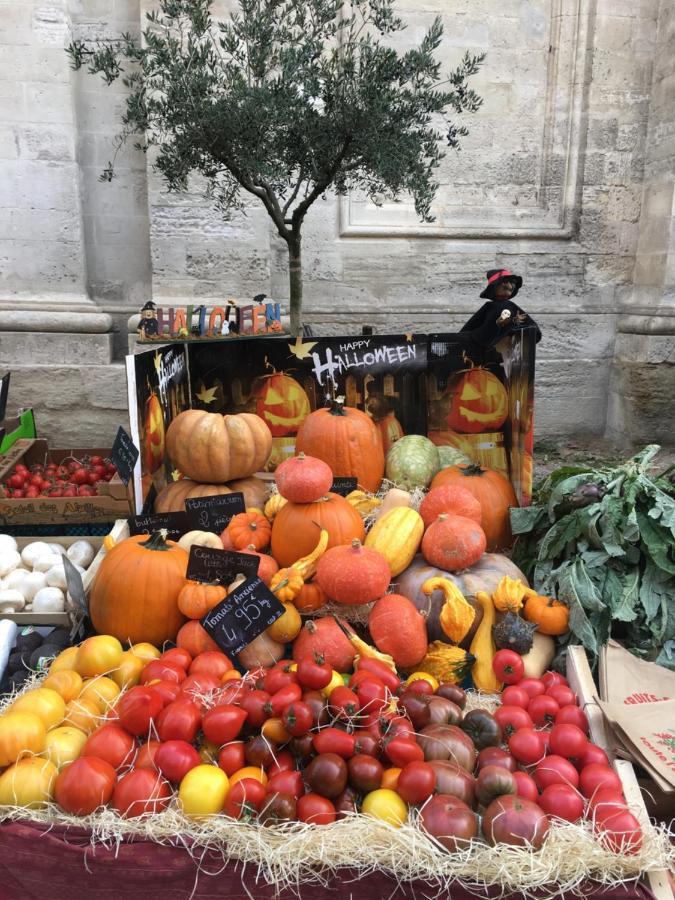 Un Coin De Luberon Lejlighed LʼIsle-sur-la-Sorgue Eksteriør billede